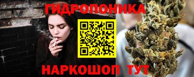 СК Гусев