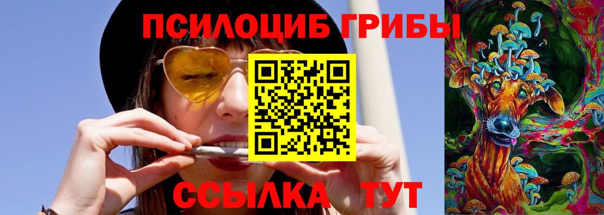 Галлюциногенные грибы GOLDEN TEACHER Нововоронеж